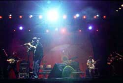 Novalia live